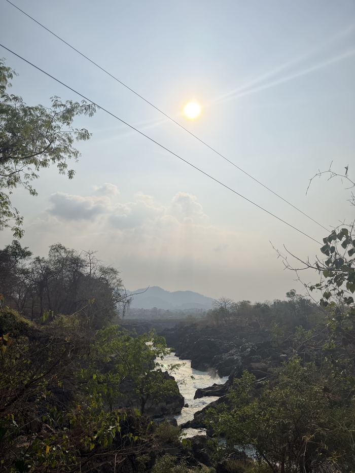 The river seen through trees with the sun low in the sky