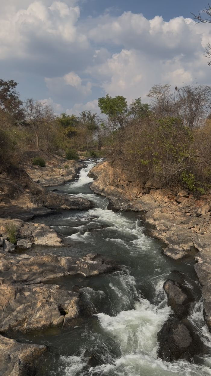 A rocky river rushing through dry forest