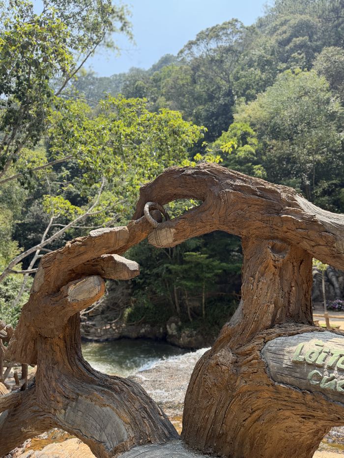 A sculpture of twisted tree roots over a stream