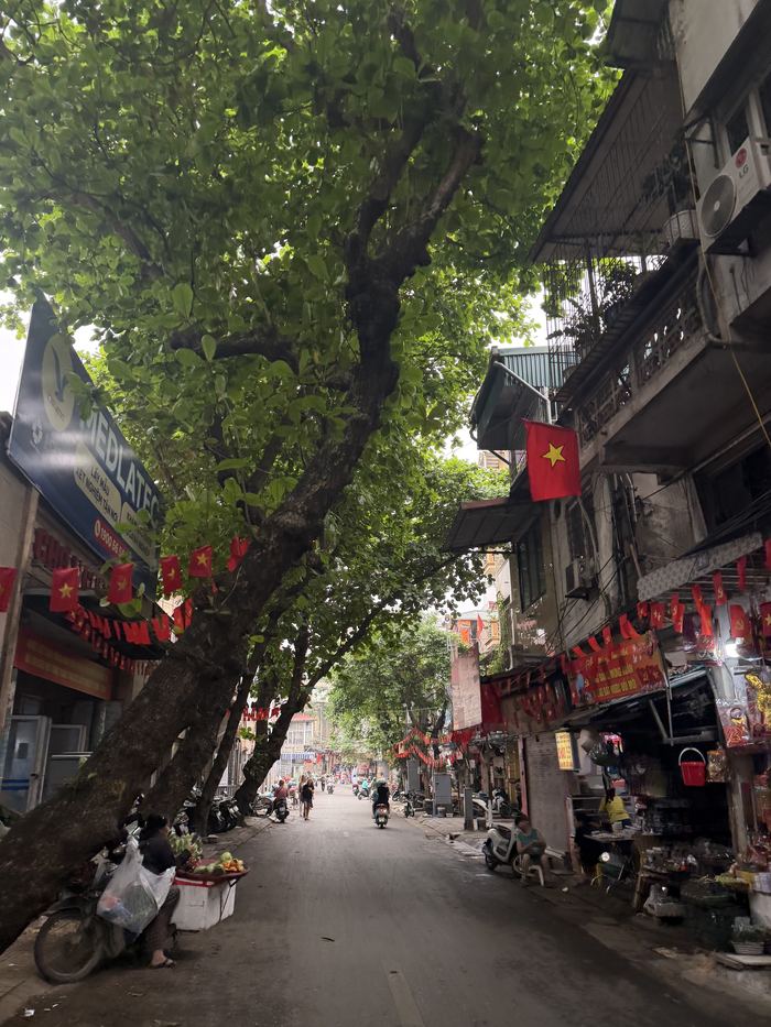 A quiet, tree-lined street in Hanoi