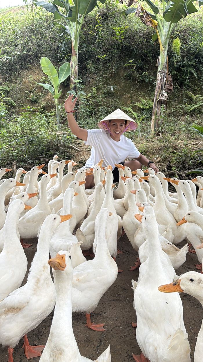 Feeding a huge flock of white ducks
