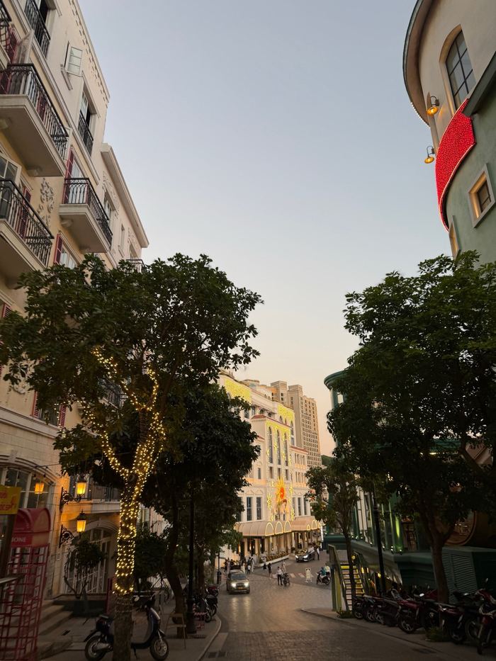 A street lined with trees and string lights at dusk